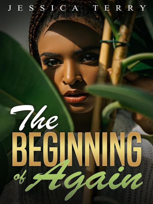 Title details for The Beginning of Again by Jessica Terry - Available
